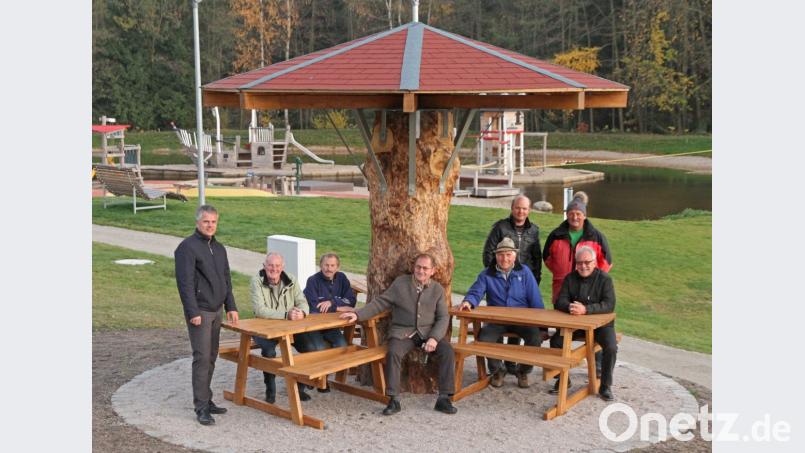 Zum Sammeln ist der neue Pilz nicht geeignet, sitzen lässt sich darunter aber prima. Bild: nm Bild: nm