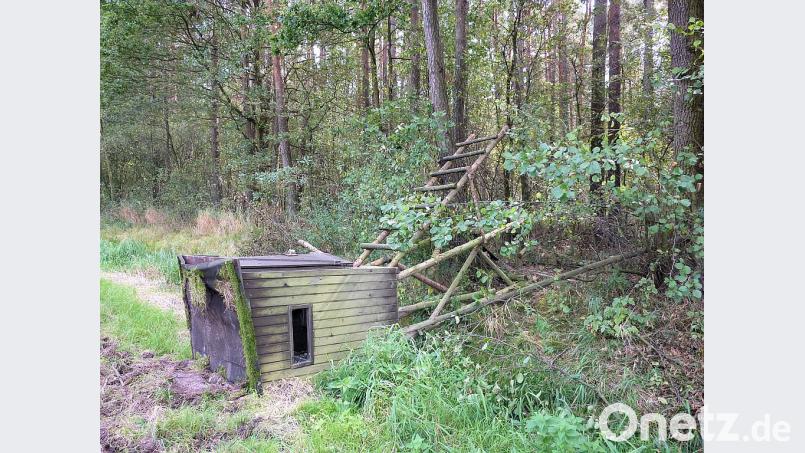 Das Umwerfen von Hochsitzen gehört zum Repertoire kompromissloser Tierschützer. Erst vor kurzem wurden in einem Revier in Pirkensee sechs zerstört. . Von lebensgefährlichen Attacken sprechen Jäger, wenn Sprossen angesägt werden. Bild: Johann Vornlocher