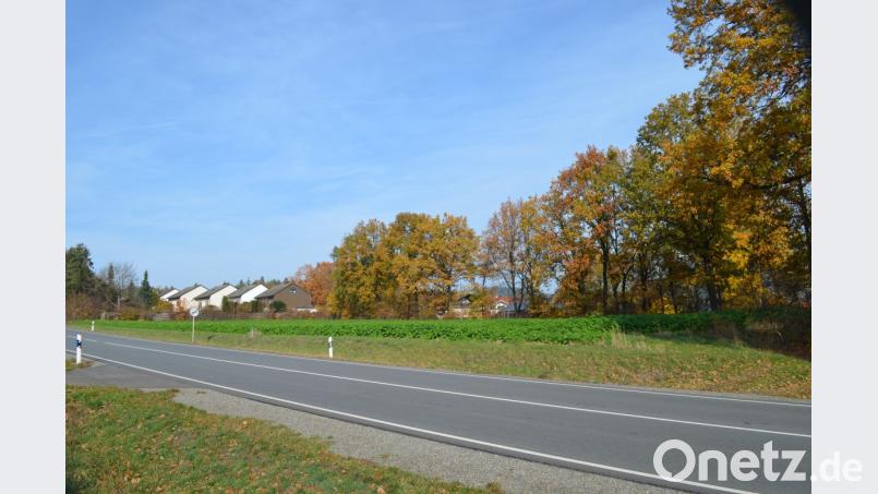 Rechts der Bundesstraße bis hin zur Bebauung sind zehn Wohnhäuser mit zwölf Wohneinheiten vorgesehen. Bild: fz