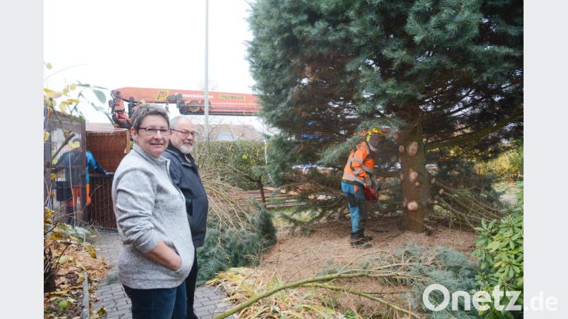 Alexandra und Walter Wenning (links) haben ihre Colorado-Tanne vor dem Haus vor 19 Jahren gepflanzt. Da war sie noch ganz klein. Als Markus Bächer den Riesenbaum absägt, ist die ganze Familie traurig. Bild: Gabi Schönberger