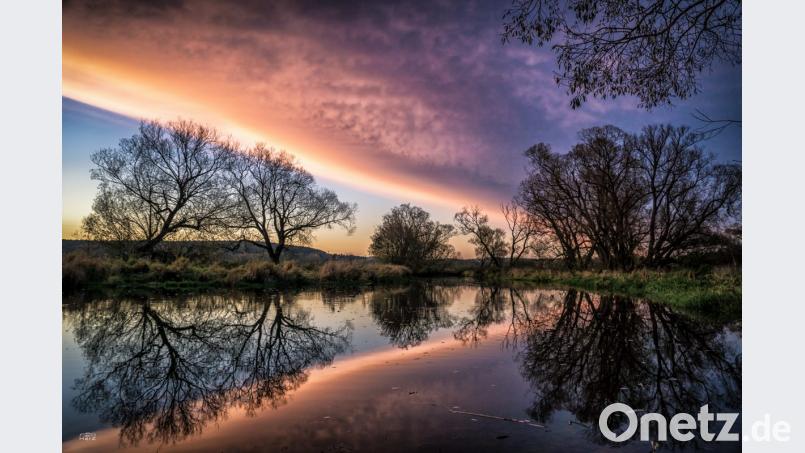 An einem Seitenarm der Waldnaab bei Luhe. Bild: Hermann Zwack