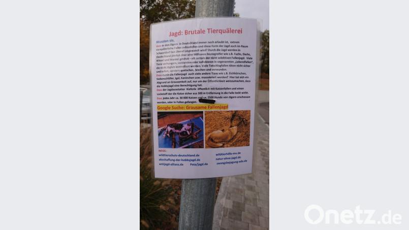 Dieses laminierte Pamphlet wurde in Nabburg aufgehängt. Bild: Hösamer