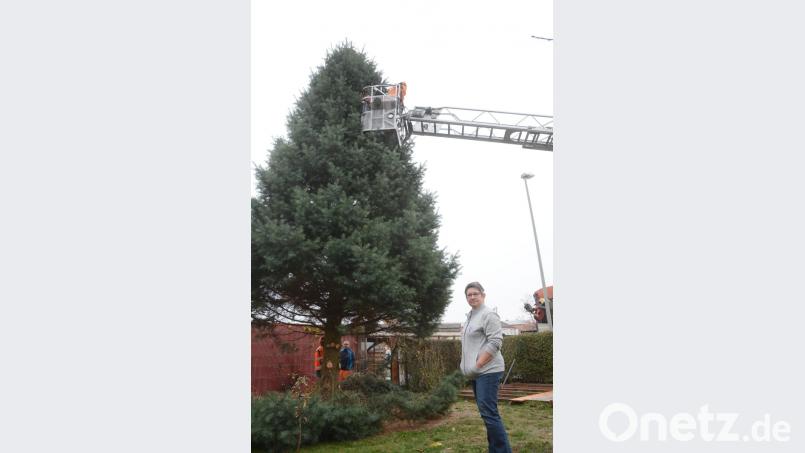 Weihnachtsbaum kommt geflogen Bild: Gabi Schönberger