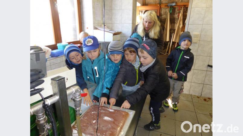 Dieterskirchener Kinder besichtigen die vereinseigene Kelterei und staunen, wie aus knackigen Äpfeln leckerer Saft hergestellt wird. Bild: Anita Graßl