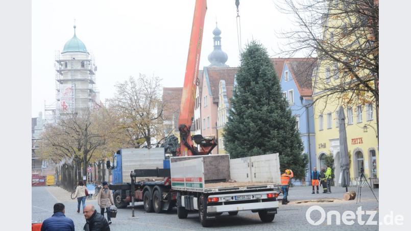 Weihnachtsbaum kommt geflogen Bild: Gabi Schönberger