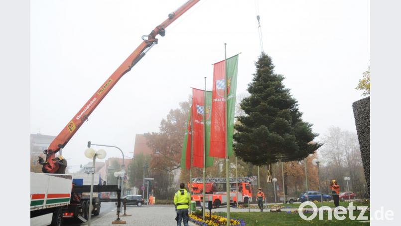 Weihnachtsbaum kommt geflogen Bild: Gabi Schönberger