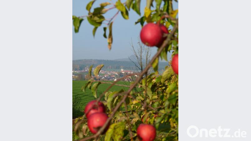 Die Gründung der Tschechoslowakischen Republik vor einem Jahrhundert hatte auch Auswirkungen auf Speinshart: Abt Gilbert Helmer von Tepl kaufte 1921 das Kloster für seinen Stift, um im Falle der Ausweisung durch den neuen Staat eine Bleibe zu haben. Bild: rn