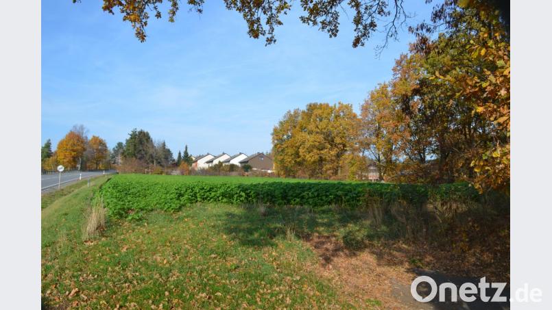 Ab der Grünbepflanzung beginnt neben der Bundesstraße das Baugebiet, auf dem zehn Wohnhäuser mit zwölf Wohneinheiten entstehen sollen. Bild: fz