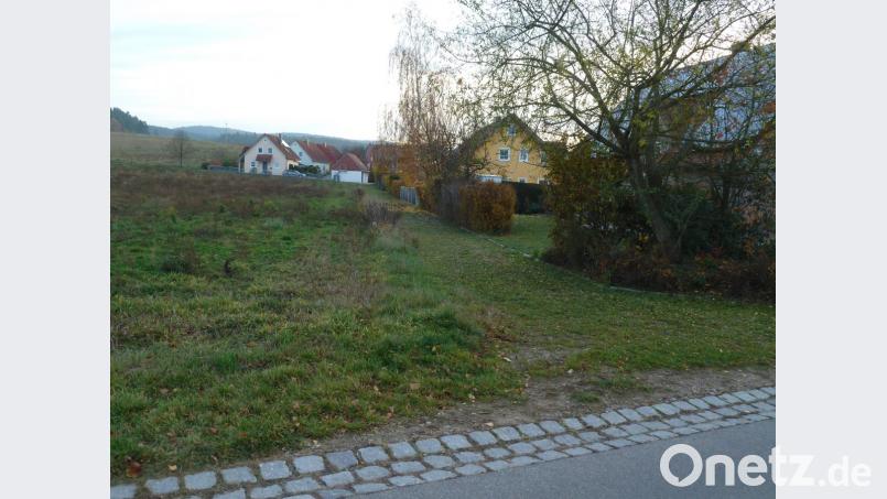 Das neue Baugebiet "Hirtenleite III" liegt an der Neunburger Straße in Diendorf und verläuft parallel zur Bebauung der Xaver-Fuhr-Straße (rechts). Für die 44 Parzellen gibt es aktuell 53 Interessenten. Bild: Portner