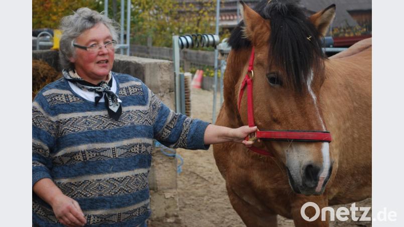 Christine Reisinger hat auch Kaltblüter in ihrem Ponyhof. Bild: tss