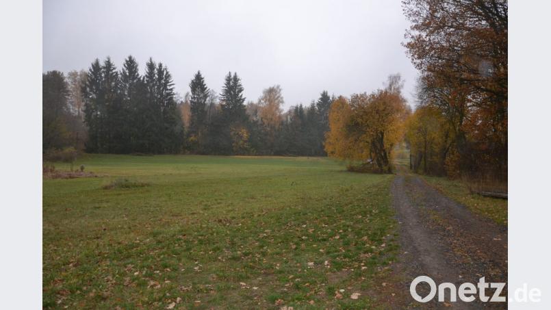 Das Sondergebiet für Lagernutzung am Schafhofweg wird nicht weiter verfolgt. Die Stadt macht sich nun auf die Suche nach einem anderen Standort. Bild: ck