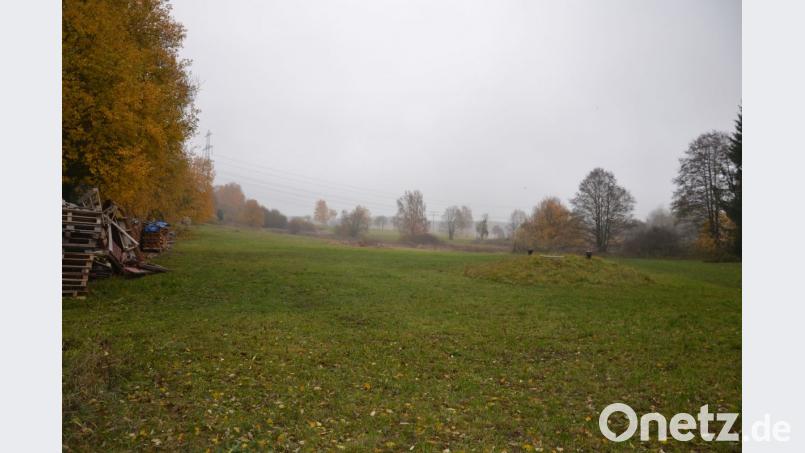 Das geplante Sondergebiet für Lagernutzung am Schafhofweg (Richtung Pleystein) kommt nicht zu stande. Die Umweltbehörde und Umweltschutz legten ihr Veto ein. Bild: ck