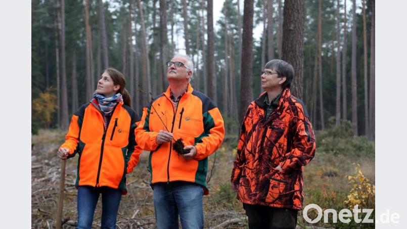 Sorgenvoller Blick von Betriebsleiter Stefan Bösl, Revierleiterin Marion Herweg (rechts) und Referendarin Anna Meindl im Staatswald bei Waidhaus. Der Weg von der Fichtenmonokultur zum Mischwald ist steinig. Bild: Gerhard Götz