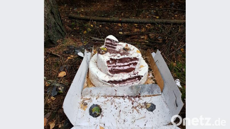 Eine dreistöckige Cremetorte fand eine Waldsassenerin im Wald bei Pechtnersreuth. Bild: exb