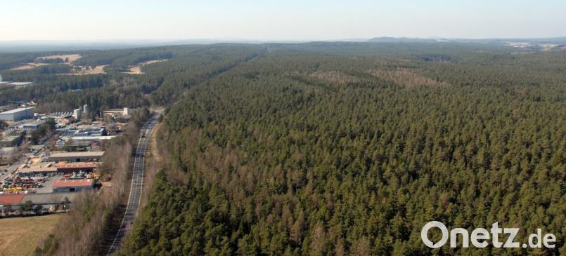 In einer Resolution appellieren die Im Bund Naturschutz organisierten Oberpfälzer an die neue Staatsregierung, für das Gewerbegebiet West IV (rechts im Bild), keinen Wald zu opfern. Bild: Michael Ascherl