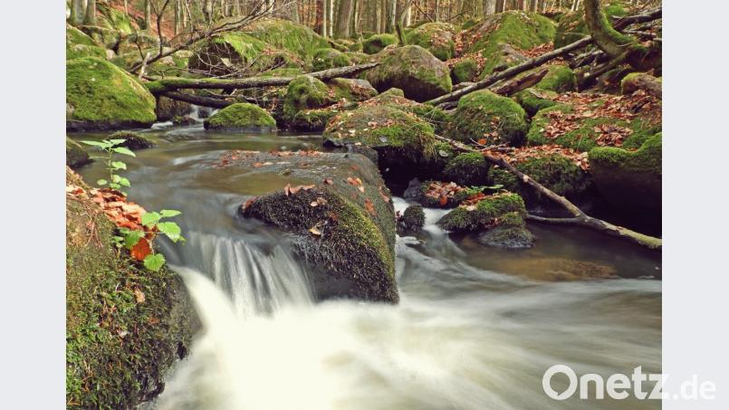 Das Höllbachtal im Kreis Cham. Bild: Uwe Hartl