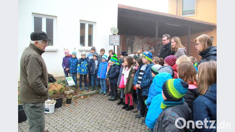 Aufmerksam hörten die Kinder Dr. Werner Schuler (links) zu, als er die sehr selten gewordene Wildpflanze Guter Heinrich erklärte. Die Ausführungen waren auch für Bürgermeister Martin Prey, Klassenleiterin Fiona Hauser-Kroner sowie Klassenleiterin und Rektorin Ortrud Sperl (hinten von links) interessant. Bild: boj