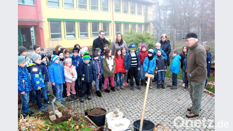 Aufmerksam hörten die Kinder Dr. Werner Schuler (rechts) zu, als er die sehr selten gewordene Wildpflanze Guter Heinrich erklärte. Die Ausführungen waren auch für Bürgermeister Martin Prey, Klassenleiterin Fiona Hauser-Kroner sowie Klassenleiterin und Rektorin Ortrud Sperl (hinten von links) interessant. Bild: boj