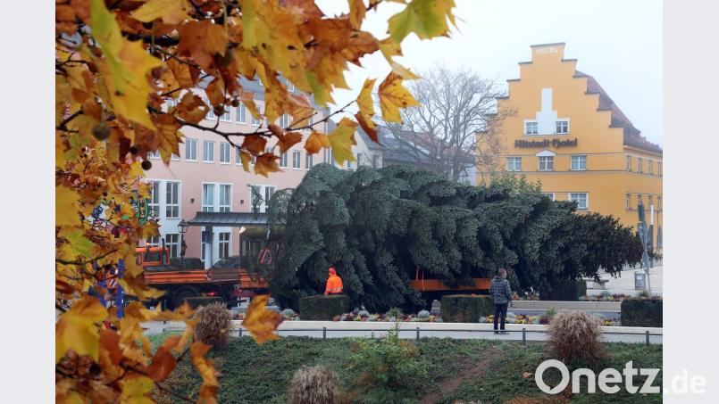 Da biegt er ein in die Bahhofsstraße: Der Christbaum 2019 für den Marktplatz. Bild: Wolfgang Steinbacher