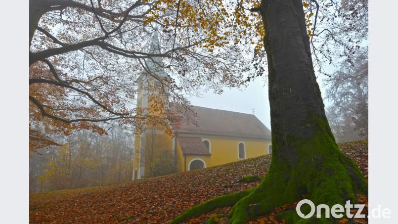 Ein Novembermorgen auf dem Johannisberg (Freudenberg). Bild: Günter Moser