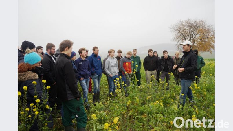 Sebastian Betz vom Erzeugerring Oberpfalz stellte die einzelnen Arten und Mischungen mit ihren Vor- und Nachteilen vor. Bild: weu