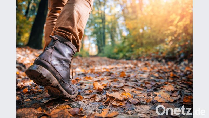 Ob es nun die frische Luft, die Ruhe oder die ätherischen Düfte der Pflanzen sind. Fakt ist: Die Natur tut uns gut. Bild: kerkezz – stock.adobe.com
