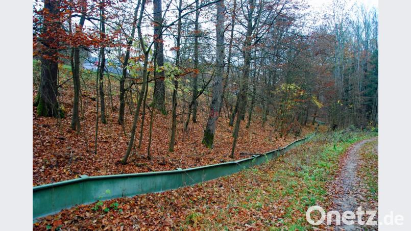 Im Umfeld und gegenüber des angedachten Verkehrsübungsplatzes der Polizei an der B 85 laufen seit 30 Jahren Schutzmaßnahmen für Amphibien. Umweltschützer sehen diese ehrenamtliche Betreuung nun mit einem Federstrich zunichte gemacht. Bild: Andreas Royer