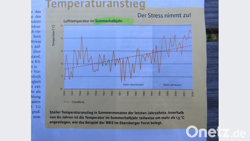 Auf dem Diagramm &quot;Temperaturanstieg&quot; (Quelle LWF Freising) ist es deutlich zu sehen: Die Durchschnittstemperatur im Sommerhalbjahr ist seit 1980 um 1,5 Grad angestiegen. „Klingt nach nicht viel, hat aber deutliche Auswirkungen“, sagt Mayr. Bild: ubb