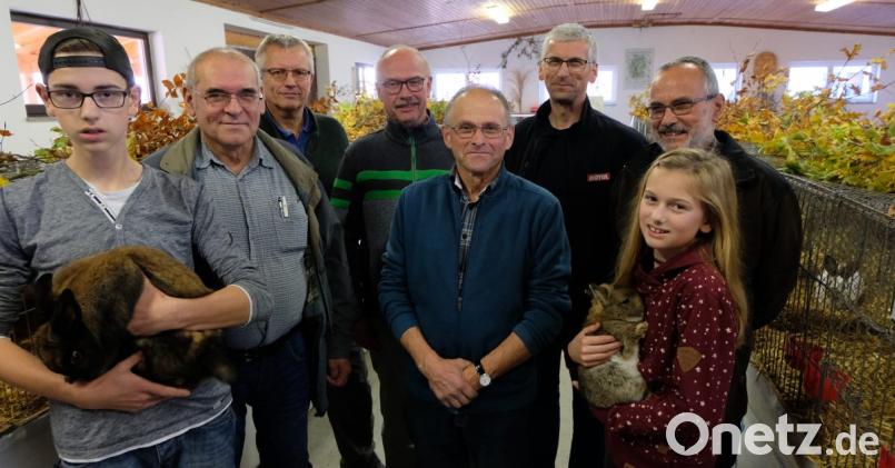 Die beiden Kleintierzuchtvereine aus Neustadt und Floß haben am Wochenende mit einer gelungenen Gemeinschaftsschau für Kaninchen gepunktet. Ausstellungsleiter ist Reiner Bergler (Vierter von rechts). Bild: le
