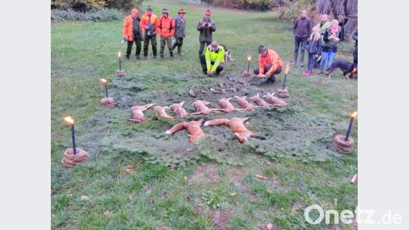 Die Treibjagd auf Hasen hatte ungeahnte Folgen. Bild: exb