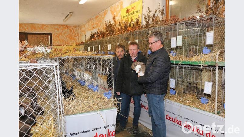 Zwei erfolgreiche Wochenenden liegen hinter dem Kleintierzuchtverein Krummennaab. Wolfgang Brunhofer, Martin Gruber und Josef Hanauer (von links) freuten sich über zahlreiche Unterstützer der beiden Lokalschauen und über die erzielten Höchstnoten und Punkte ihrer „Lieblinge“. Bild: bsc