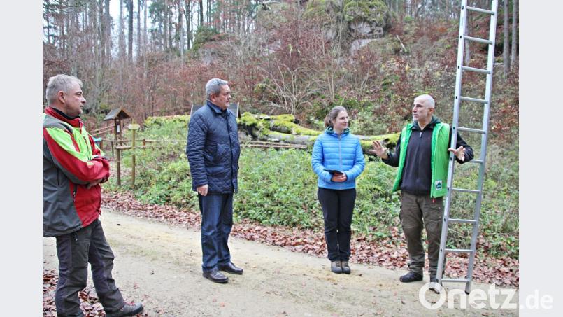 Werner Meisel (städtischer Waldarbeiter), Auerbachs Bürgermeister Joachim Neuß sowie Anita Vieracker und Rudolf Leitl, die die Haselmaus-Kästen im Auerbacher Stadtwald installiert haben (von links). Bild: jma