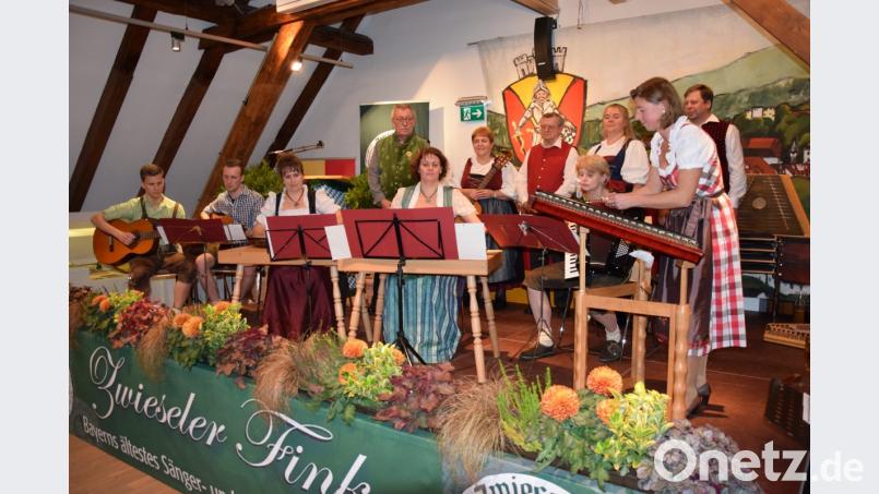 Voll in Aktion war der Zitherclub beim Zwieseler Fink Bild: njn