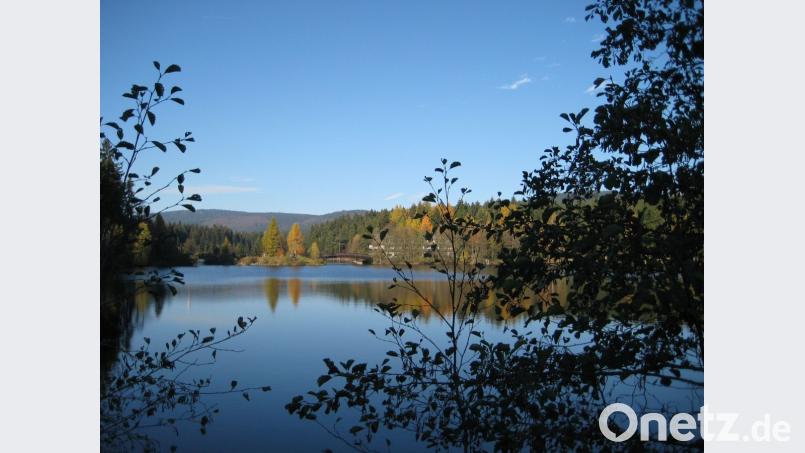 Eine Bürgerinitiative setzt sich dafür ein, dass der Fichtelsee nicht großartig verändert wird. Bild: gis