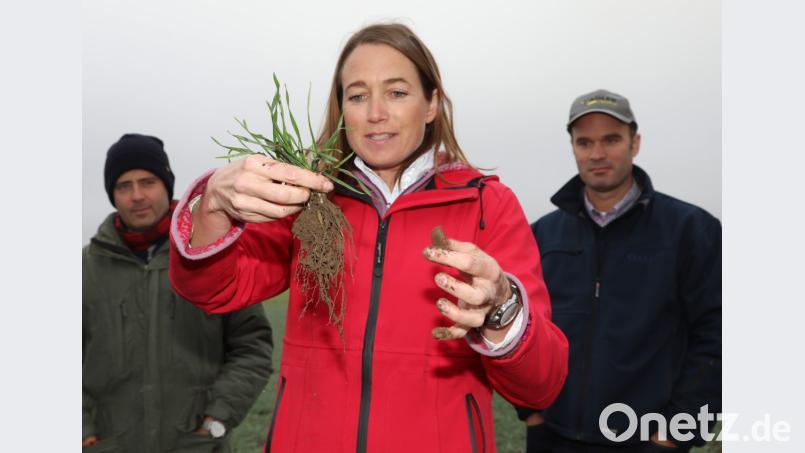 Krümeliger Boden, kräftige Wurzeln: Agrarwissenschaftlerin Sonja Dreymann ist überzeugt von der Bodenpflege, die Landwirt Josef Hägler auf seinen Feldern perfektioniert hat. Bild: Gerhard Götz