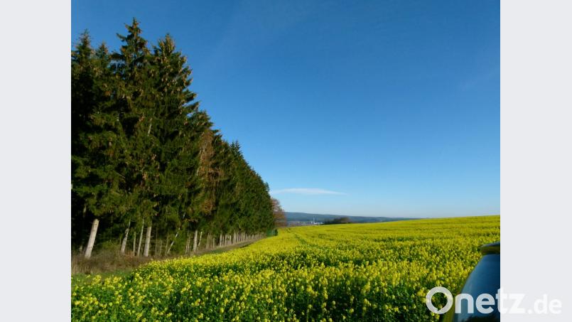 Herbst oder Frühling? Bild: rn