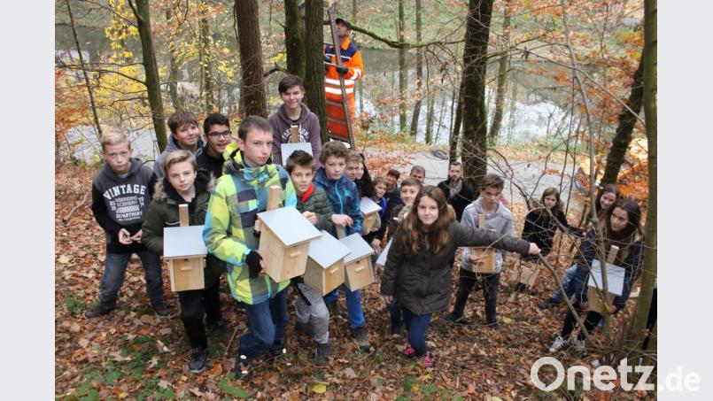 Die siebte Klasse der Mittelschule hat Nistkästen angefertigt. Mitarbeiter des Bauhofs hängen diese nun auf. Bild: Lowak
