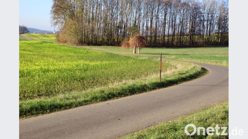 Die Gemeindeverbindungsstraße von Zinst nach Kulmain soll im kommenden Jahr ausgebaut werden. Dabei erhalten die Kurven größere Radien. Bild: bkr