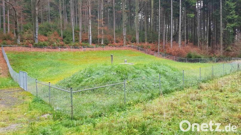 Der Brunnen in diesem Bereich des Trinkwasser-Quellgebiets im Wald bei Altmugl ist bereits saniert. Inzwischen erinnert nichts mehr an die Baustelle im vergangenen Jahr. Bild: exb