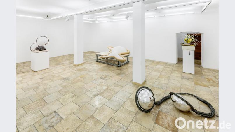 Mathias Lanfer gibt bei der Ausstellung „KI LO PAS CAL“ einen Einblick in sein Schaffen. Bild: Marcus Rebmann