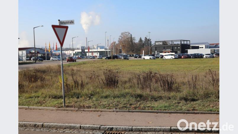 Der Standort für das zweite geplante &quot;Haus für Kinder&quot; ist ebenfalls schon gefunden: An der Ecke Herbststraße/Industriestraße nahe des &quot;Mini&quot;-Autohauses (im Hintergrund) soll die Tagesstätte gebaut werden. Bild: Gerhard Götz