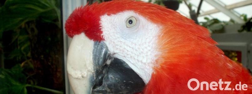 Symbolbild. Bild: dpa