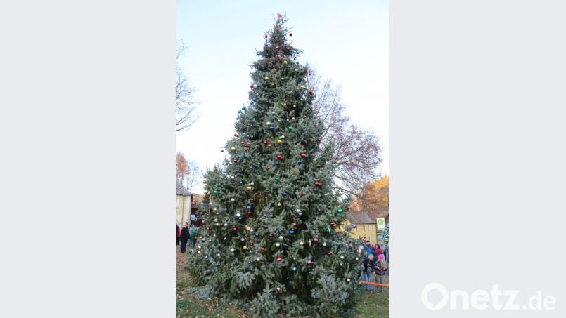 Den Frauenreuther Christbaum schmücken in diesem Jahr 803 Christbaumkugeln. Den Erlös aus der Veranstaltung erhält die Kinderkrebshilfe in der Region Oberpfalz-Nord. Bild: bsc