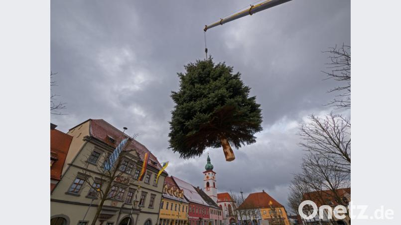 Nicht einmal fünf Minuten schwebte der Christbaum über dem Marktplatz. Die komplette Aufstellungsaktion nahm gerade mal 45 Minuten in Anspruch, was einem seit Jahren bewährten Team zu verdanken ist. Bild: tr