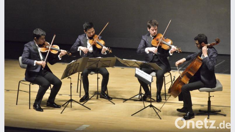 Die vier Musiker des "Arod-Quartetts" sind noch unter 30 Jahren, sie musizieren hinreißend und mit höchster Perfektion.
Von links: Jordan Victoria und Alexandre Vu (Violinen), Tanguy Parisot (Viola) und Samy Rachid (Violoncello). Bild: Karin Wilck