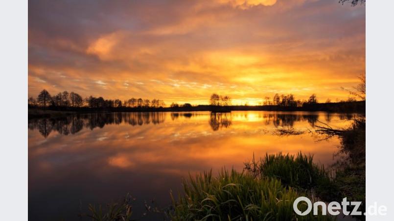 Sonnenuntergang in der Oberpfalz Bild: Lena Held