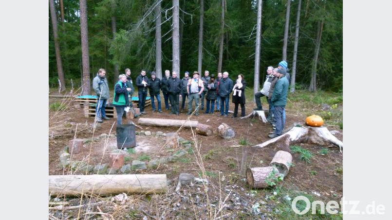 Mit einer ganz besonderen Station beginnt die Waldbegehung des Stadtrats: Das Gremium sieht sich im Waldkindergarten um. Dessen Leiterin Delia Asimi (Zweite von links) führt die Räte unter anderem an die Spiel- und „Arbeitsplätze“ der aktuell 18 betreuten Mädchen und Buben. Bild: rn