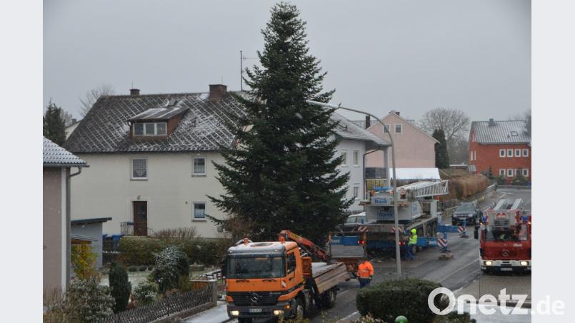 Mit Hilfe des Kranwagens der Firma Rank aus Weiden schwebt die stattliche Tanne aus dem Gartengrundstück von Sonja Spiller auf den städtischen LKW und wird vor das Rathaus transportiert. Dort erfreut der Baum die Herzen in der Advents- und Vorweihnachtszeit. Bild: dob