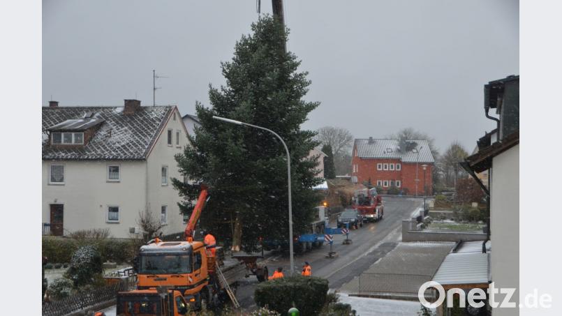 Mit Hilfe des Kranwagens der Firma Rank aus Weiden schwebt die stattliche Tanne aus dem Gartengrundstück von Sonja Spiller auf den städtischen LKW und wird vor das Rathaus transportiert. Dort erfreut der Baum die Herzen in der Advents- und Vorweihnachtszeit. Bild: dob