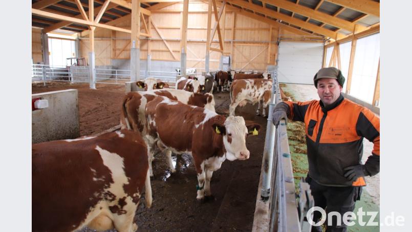 Johann Dirschwigl betreibt in Oberkatzbach (Gemeinde Guteneck) einen sogenannten Kompoststall und befindet sich damit ganz weit vorne, was moderne und Gewässer schonende Kuhhaltung anbelangt. Davon konnten sich die Teilnehmer am Milchviehtag überzeugen. Bild: Dobler